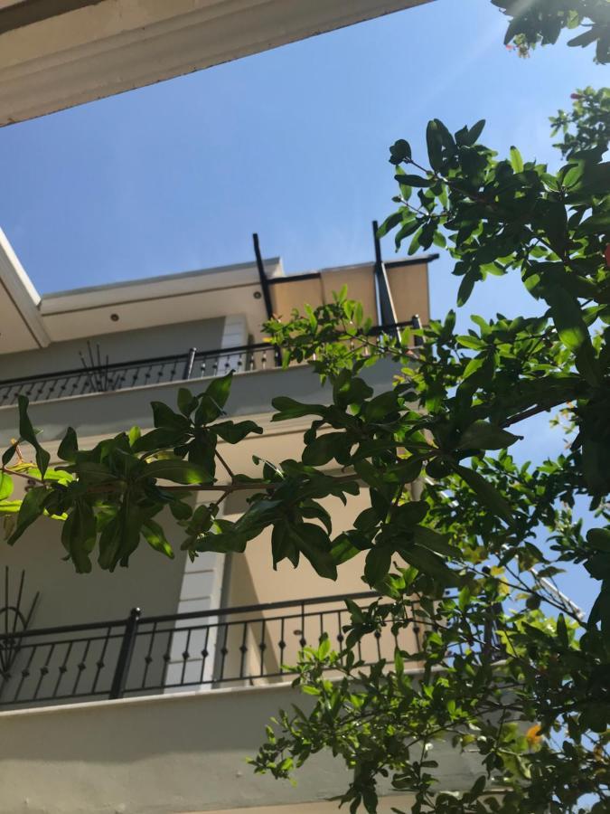 Villa Dorita Luxury Apartments ปาร์กา ภายนอก รูปภาพ