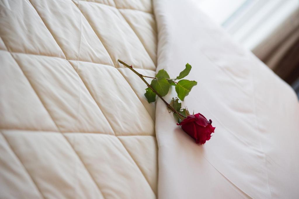 Villa Dorita Luxury Apartments ปาร์กา ภายนอก รูปภาพ